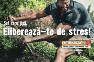 Hornbach