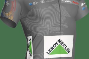 leroy merlin